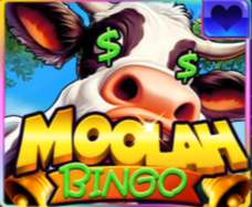 Moolah Bingo